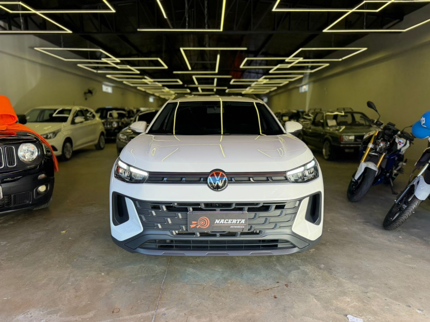VOLKSWAGEN TERA