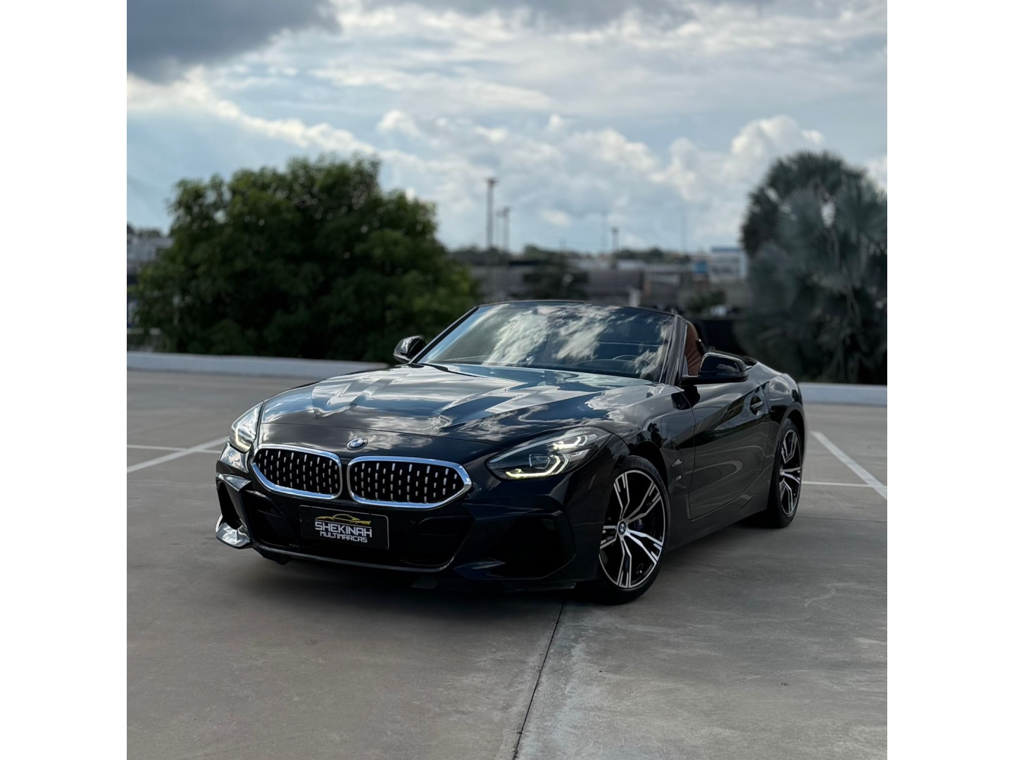 BMW Z4
