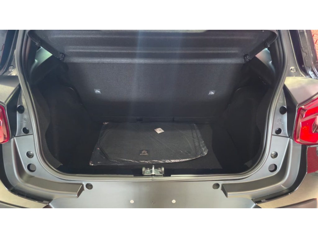 C3 1.0 FIREFLY FLEX FEEL MANUAL10