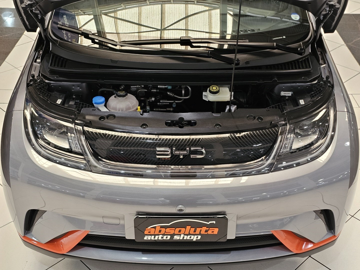 BYD Dolphin Ev Gs (elétrico) - foto 5