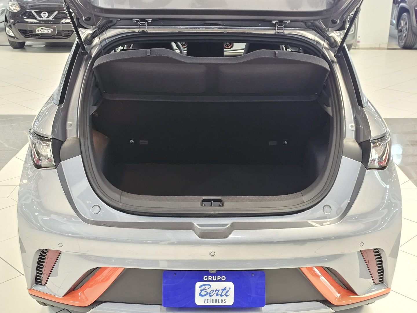 BYD Dolphin Ev Gs (elétrico) - foto 10