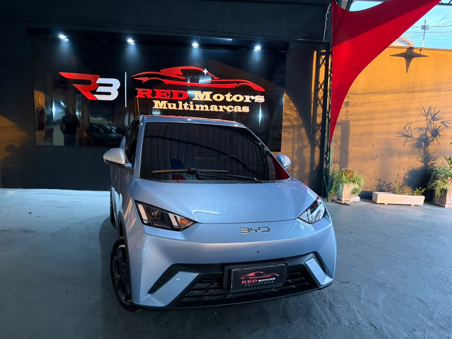 BYD DOLPHIN MINI