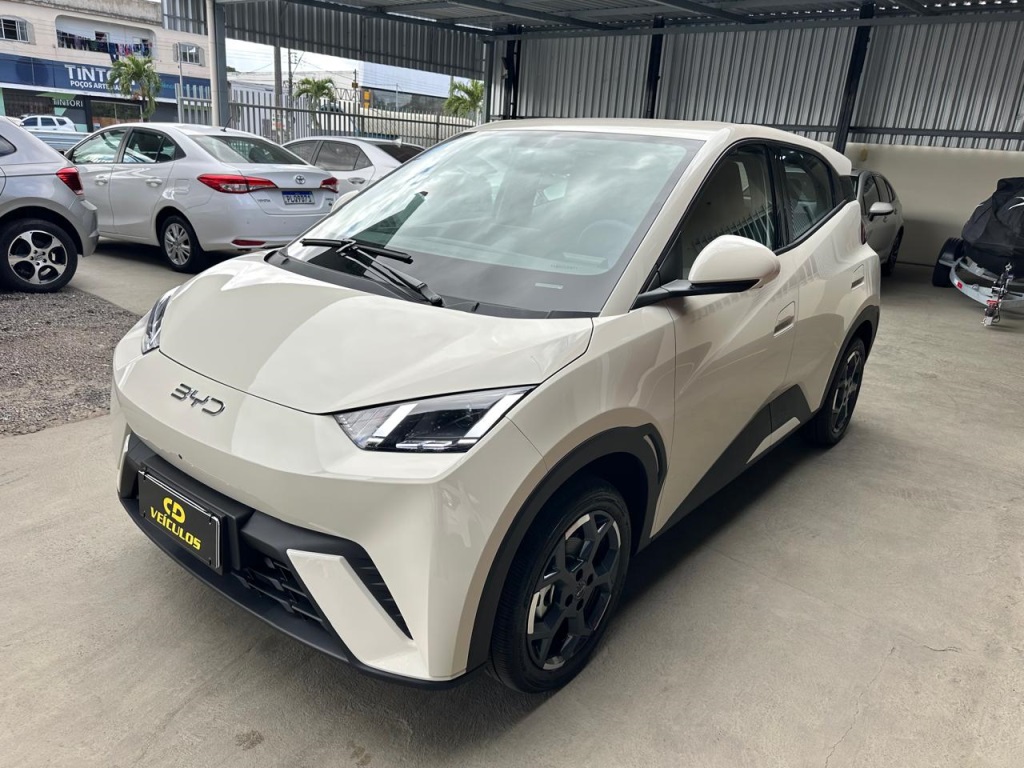 BYD DOLPHIN MINI