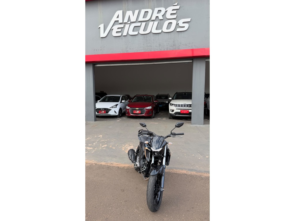 YAMAHA FZ25 FAZER ABS