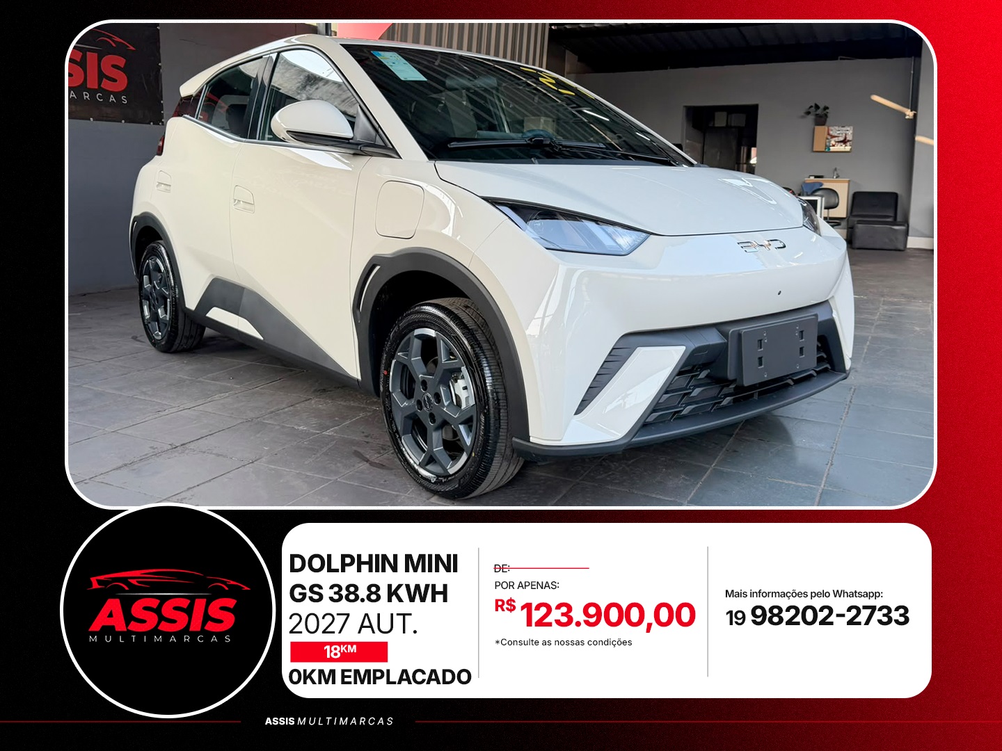 BYD DOLPHIN MINI