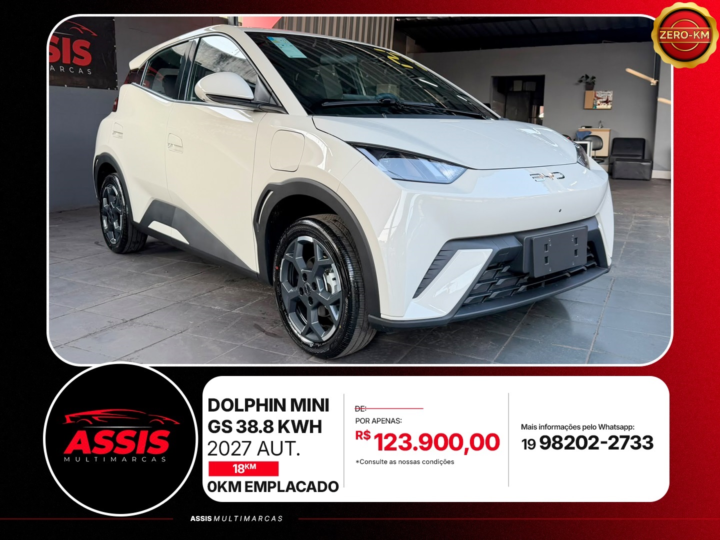 BYD DOLPHIN MINI