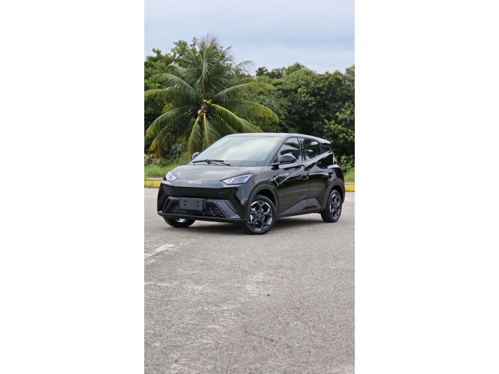 BYD DOLPHIN MINI 38 KW ELÉTRICO GS