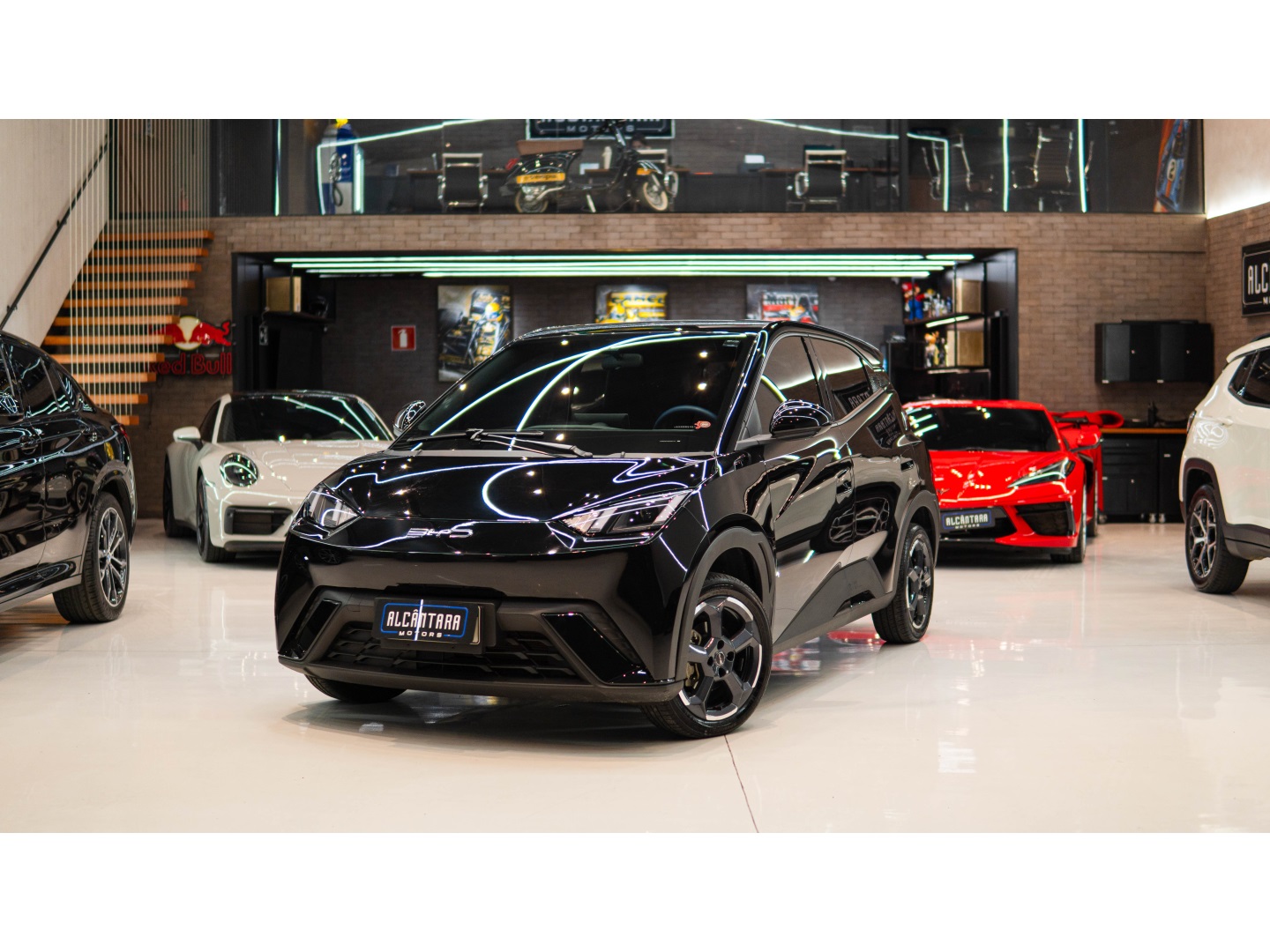 BYD DOLPHIN MINI