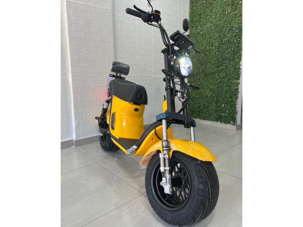GREEN MOTORS SCOOTER ELÉTRICA X 12 - 1000W