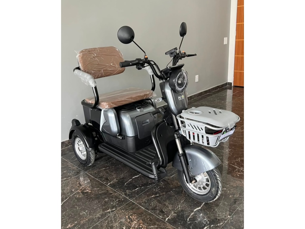 GREEN MOTORS TRICICLO CARE 1000W