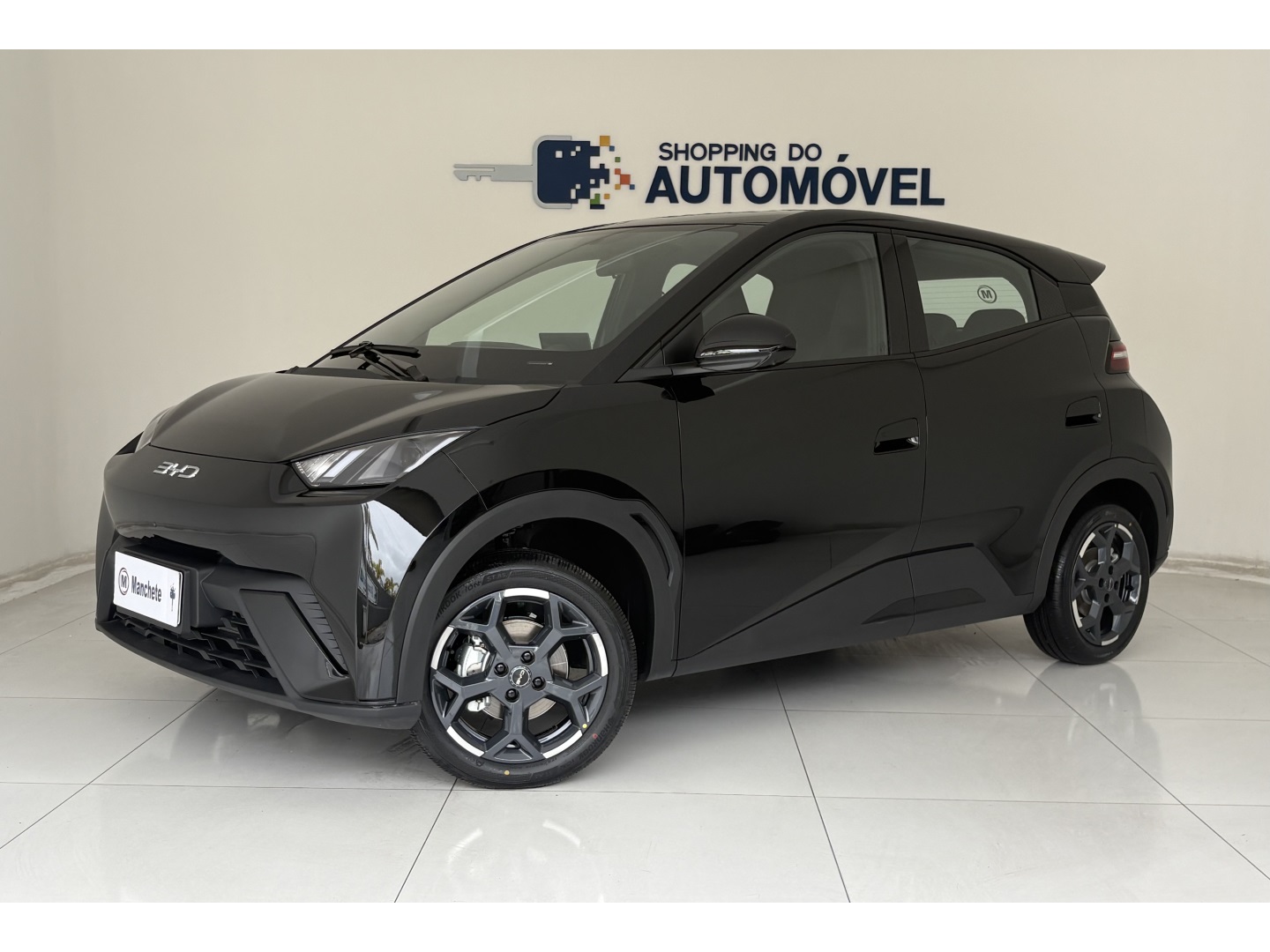 BYD DOLPHIN MINI