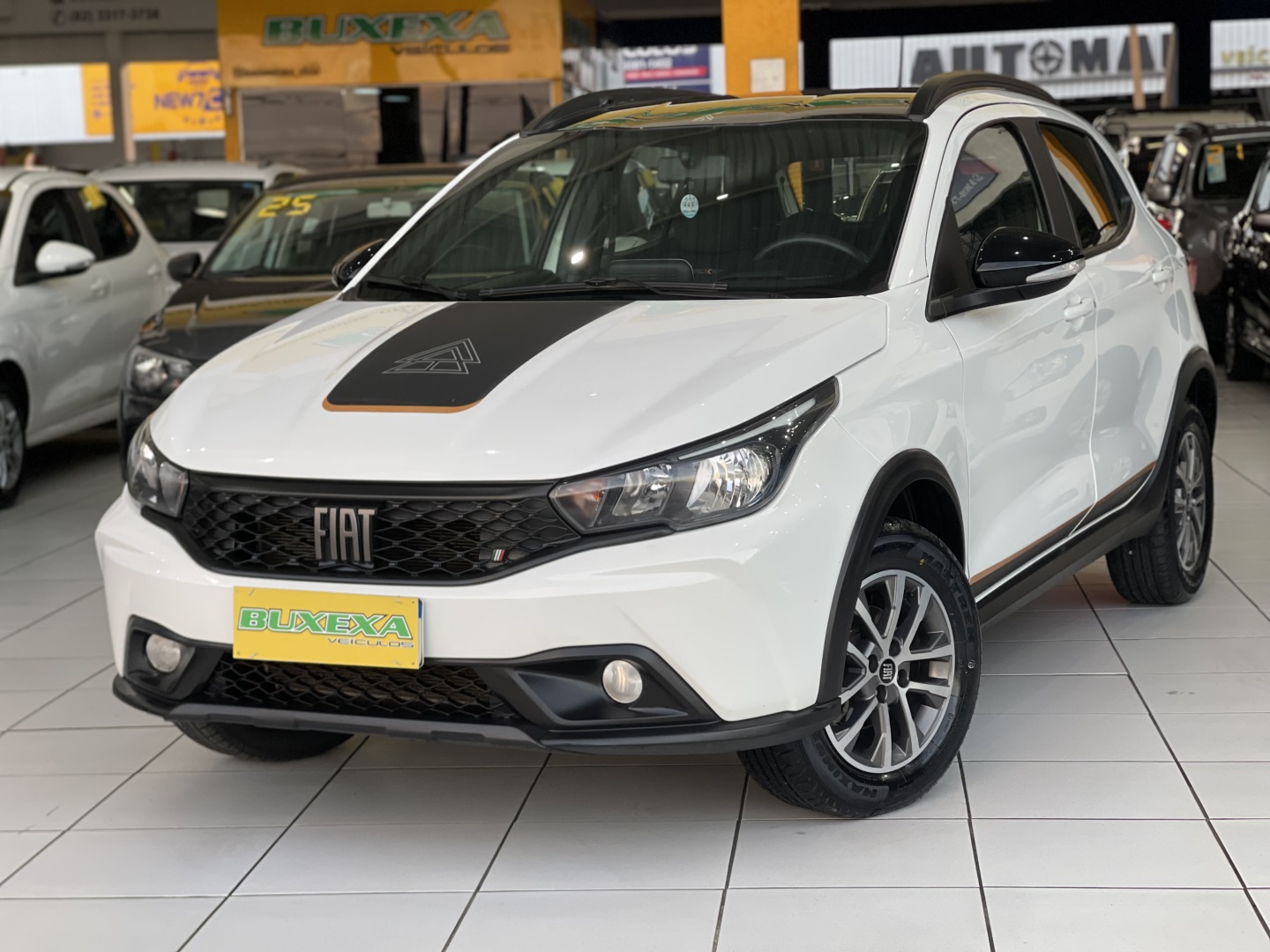 FIAT ARGO 1.3 FIREFLY FLEX TREKKING MANUAL