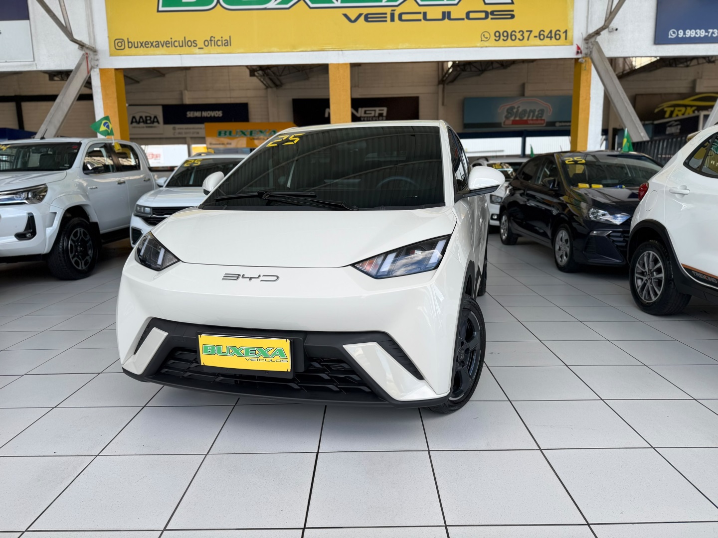 BYD DOLPHIN MINI GS EV