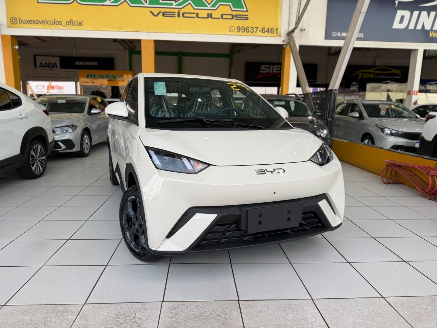 BYD DOLPHIN MINI 38 KW ELÉTRICO GS