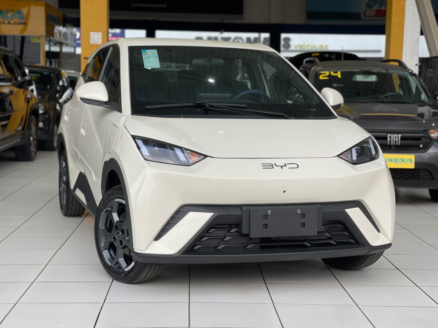BYD DOLPHIN MINI 38 KW ELÉTRICO GS