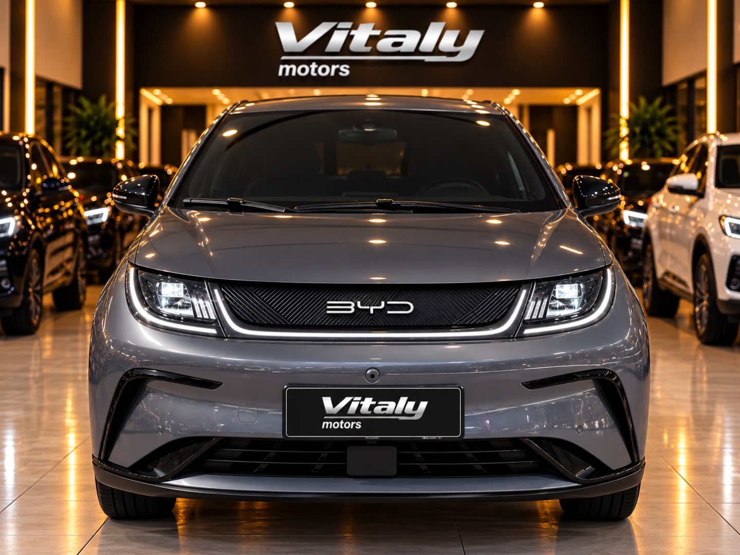 BYD DOLPHIN