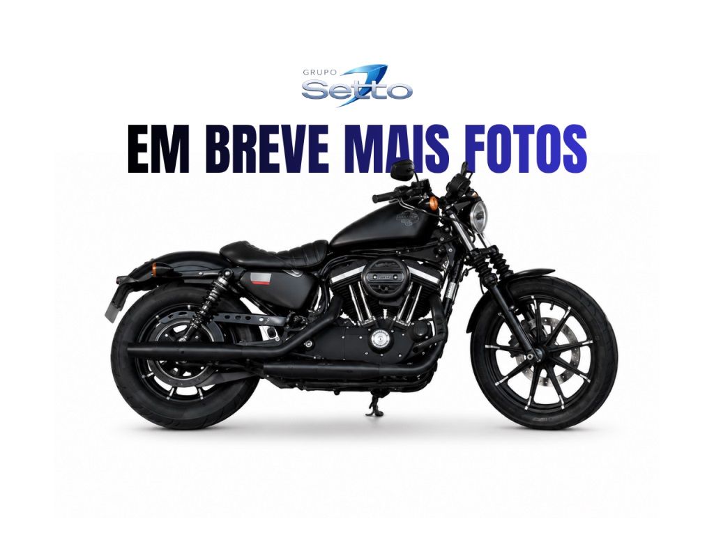 HARLEY-DAVIDSON XL 883N IRON