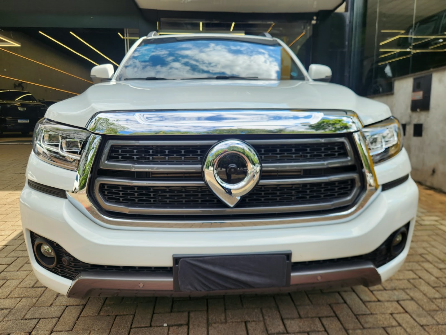 GWM POER P30
