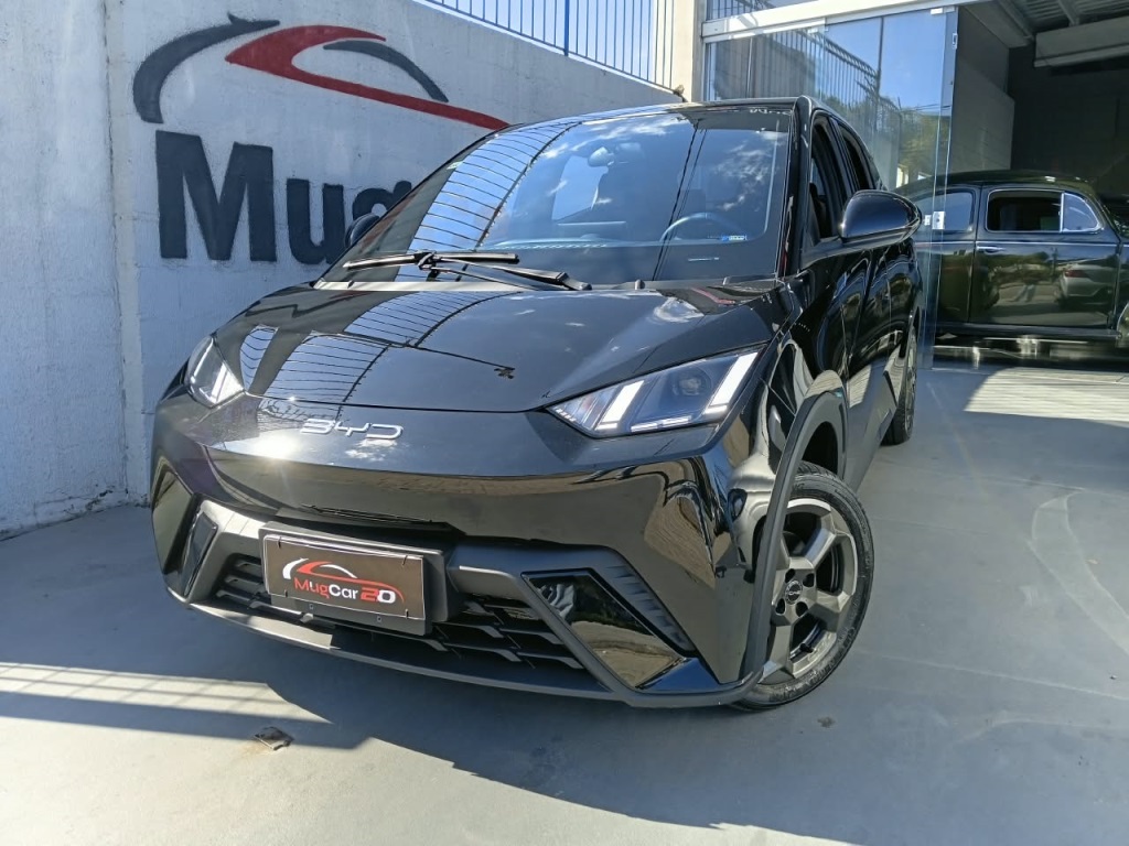 BYD DOLPHIN MINI