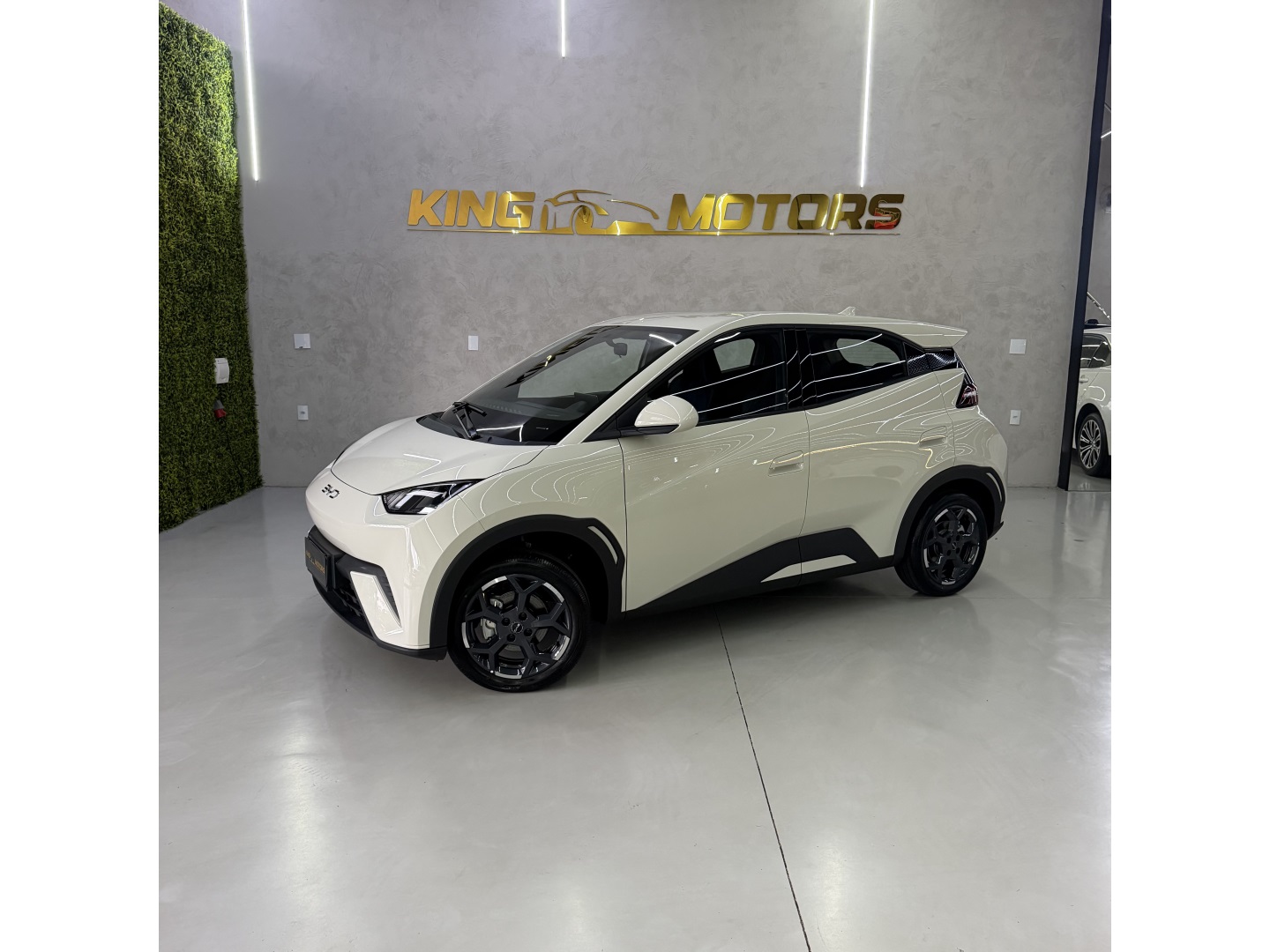 BYD DOLPHIN MINI