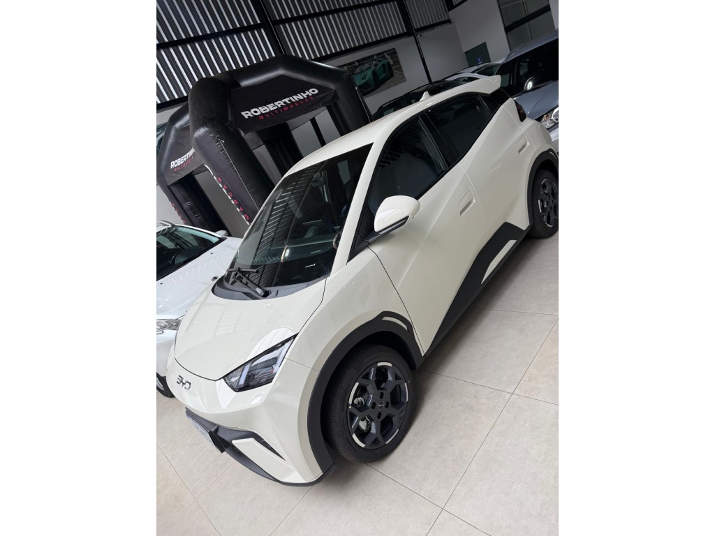 BYD DOLPHIN MINI