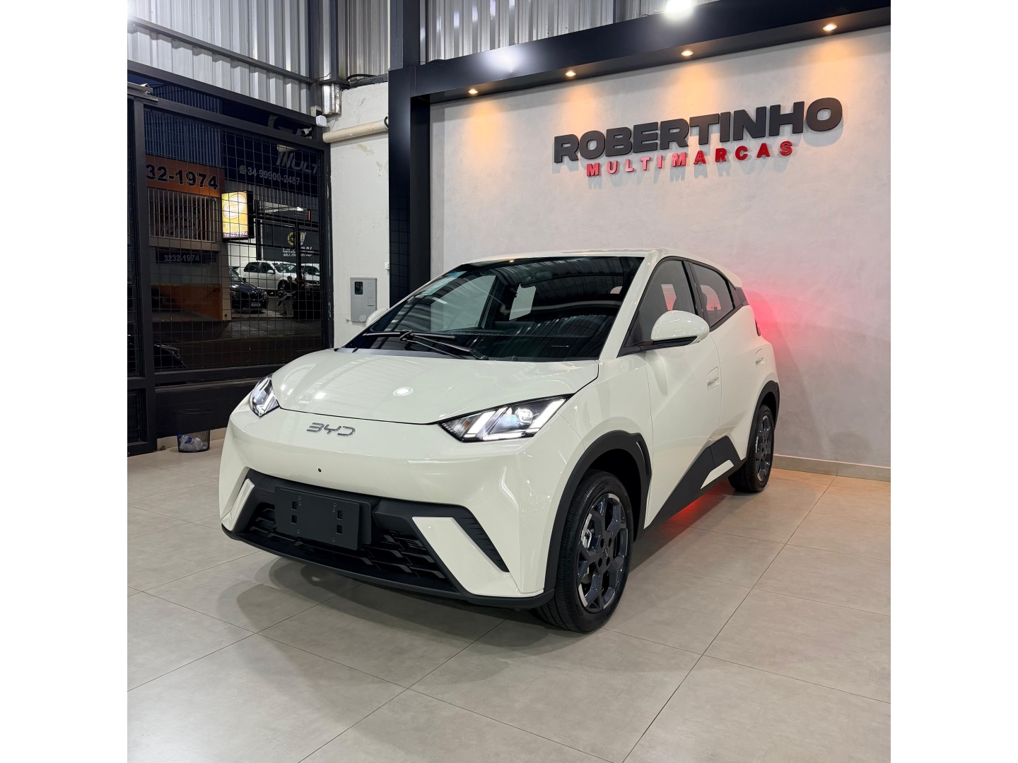 BYD DOLPHIN MINI