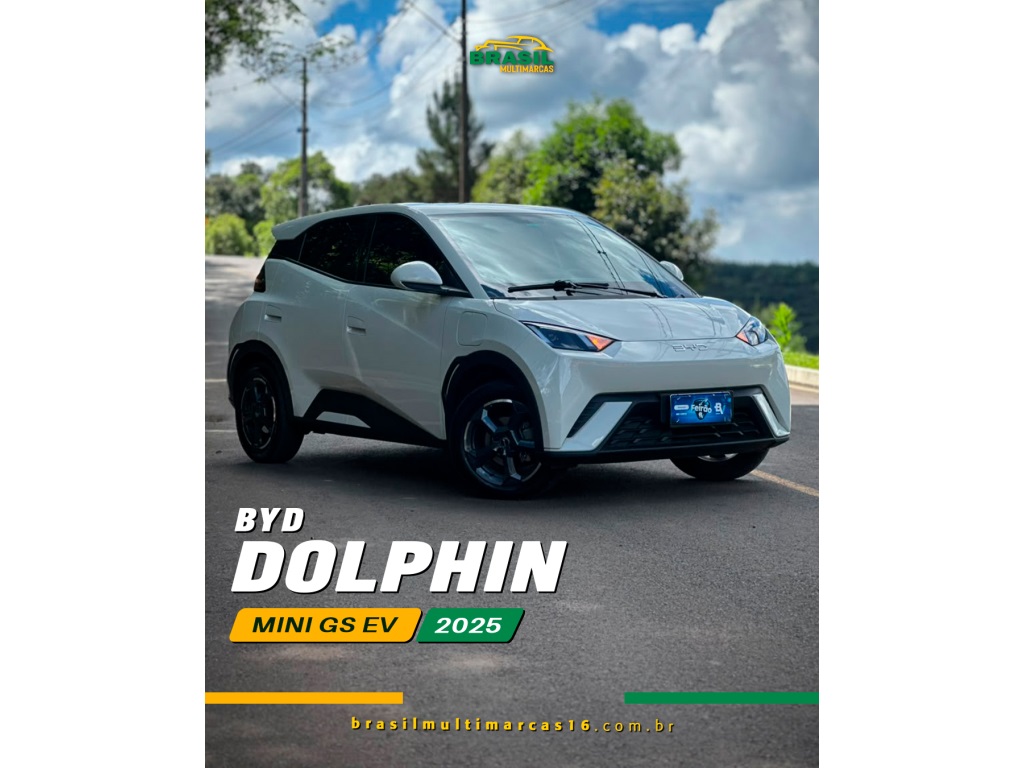 BYD DOLPHIN MINI