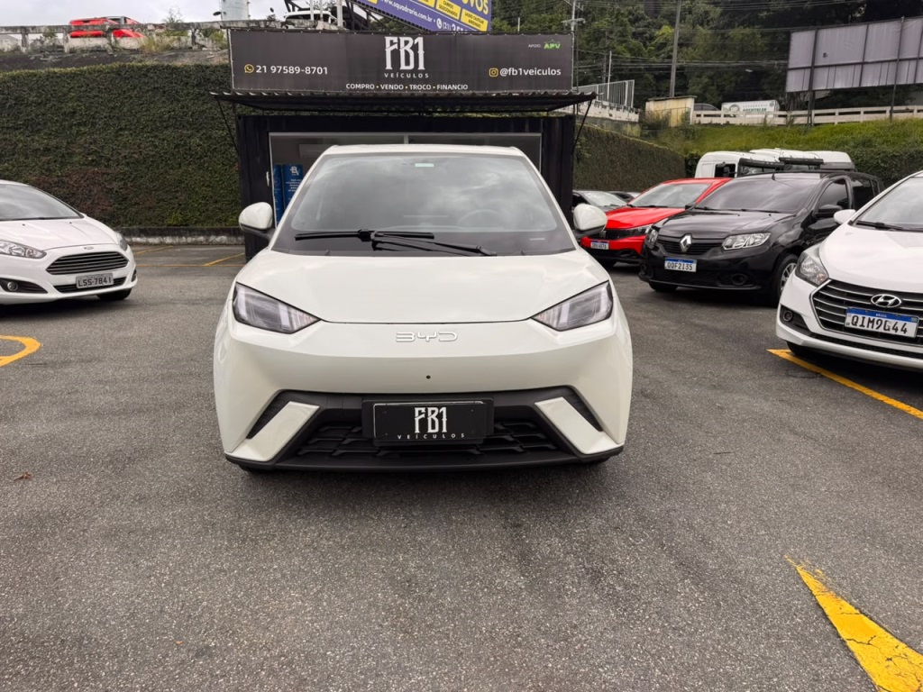 BYD DOLPHIN