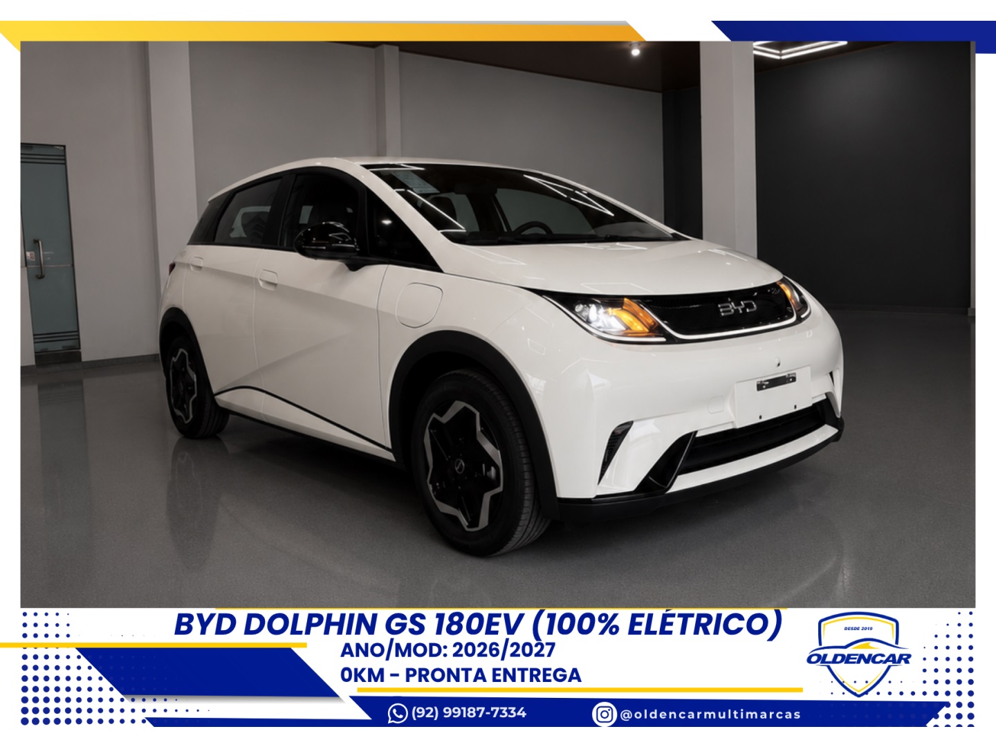 BYD DOLPHIN