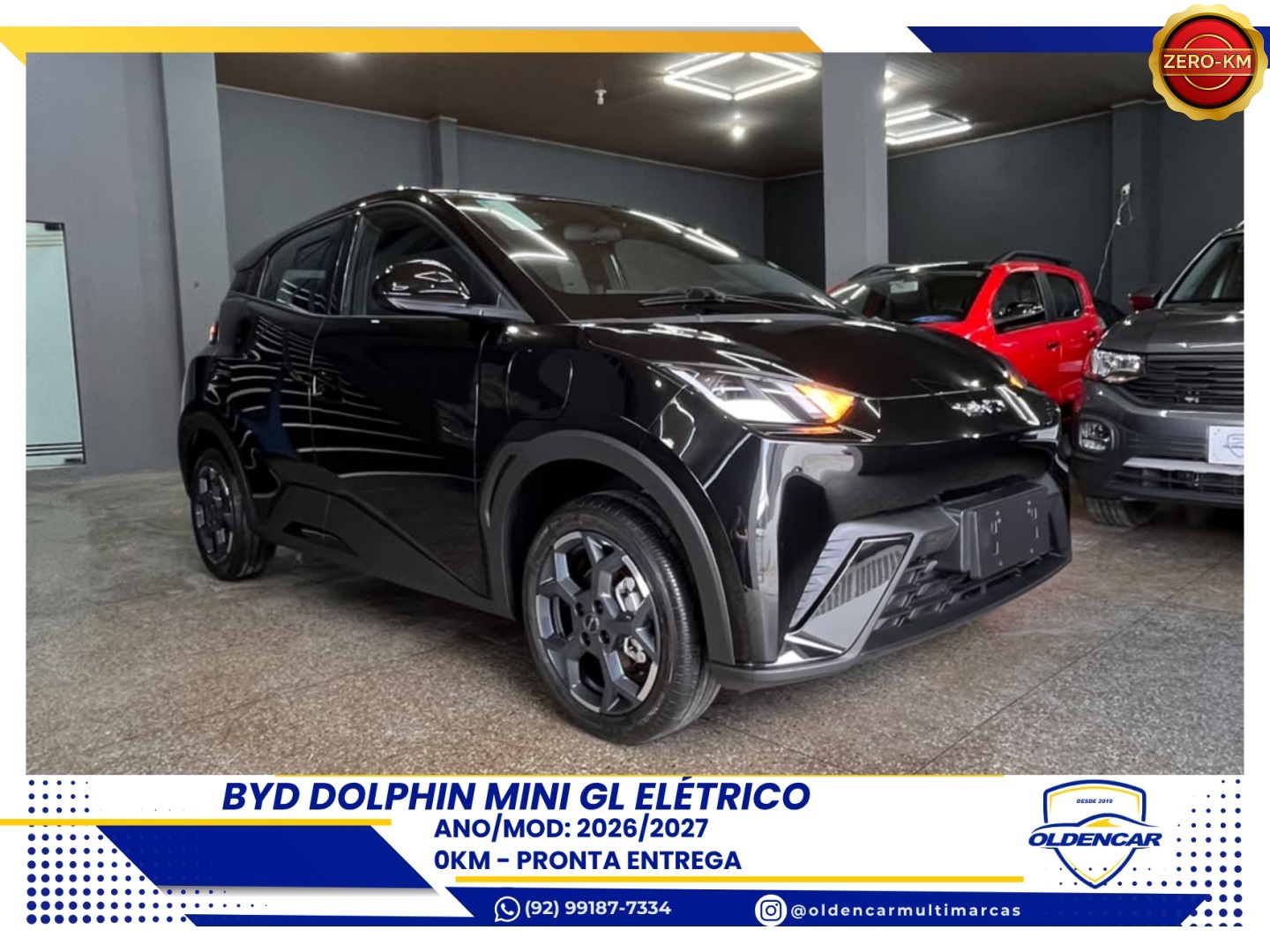 BYD DOLPHIN MINI