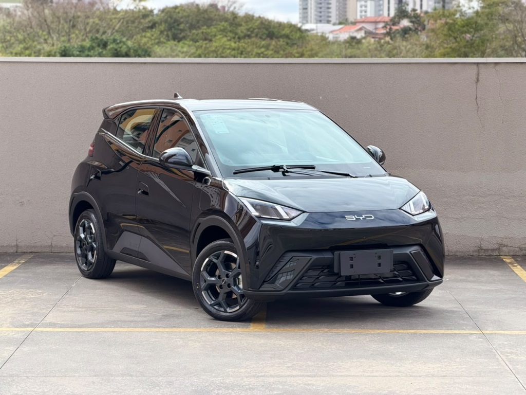 BYD DOLPHIN MINI