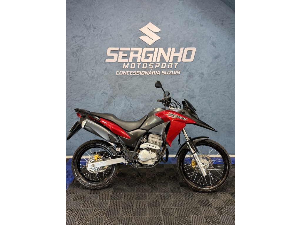 HONDA XRE 300 RALLY