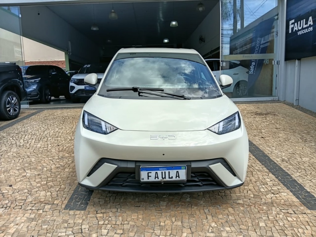 BYD DOLPHIN MINI
