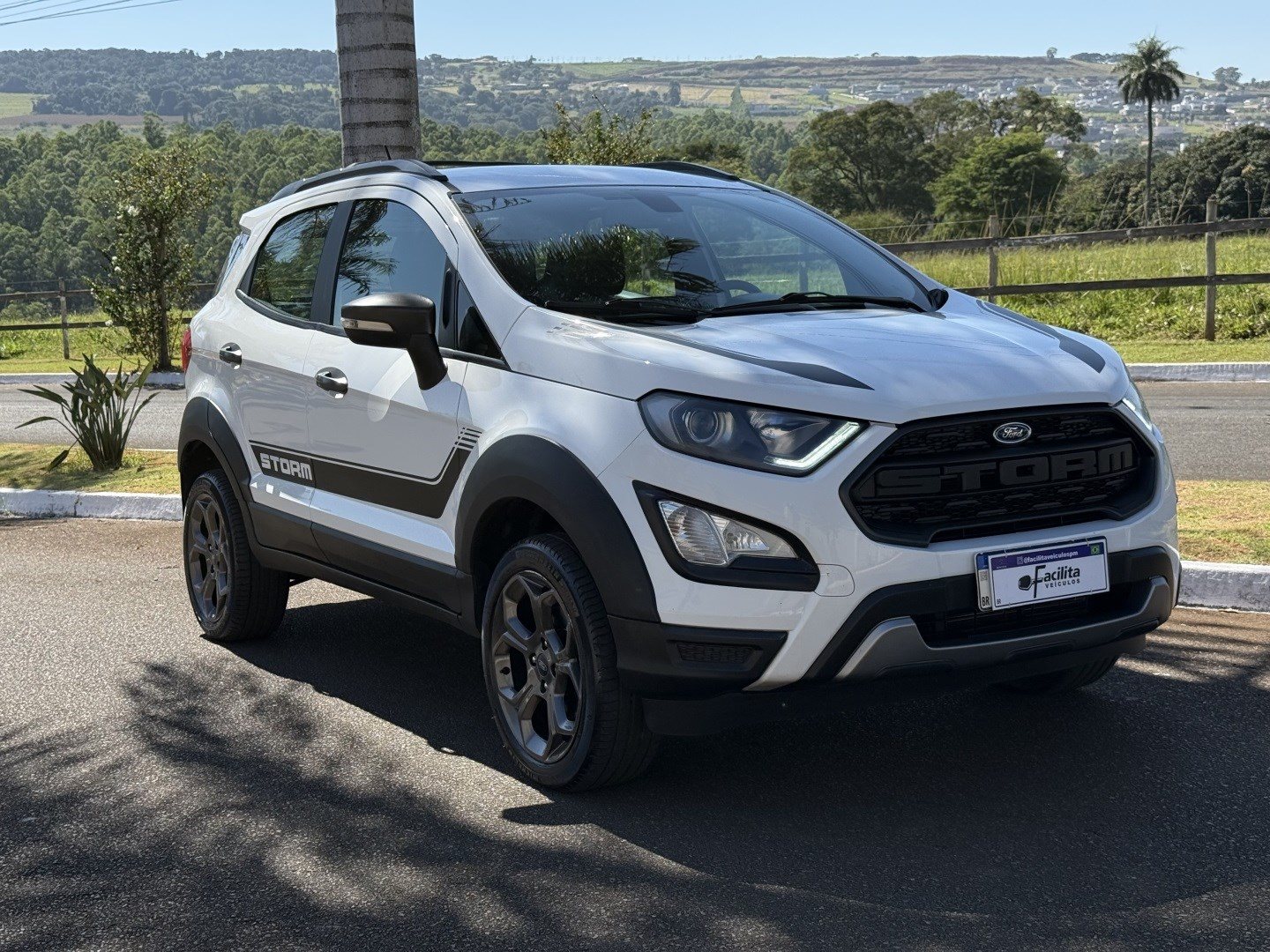 FORD ECOSPORT 2.0 DIRECT FLEX STORM 4WD AUTOMÁTICO