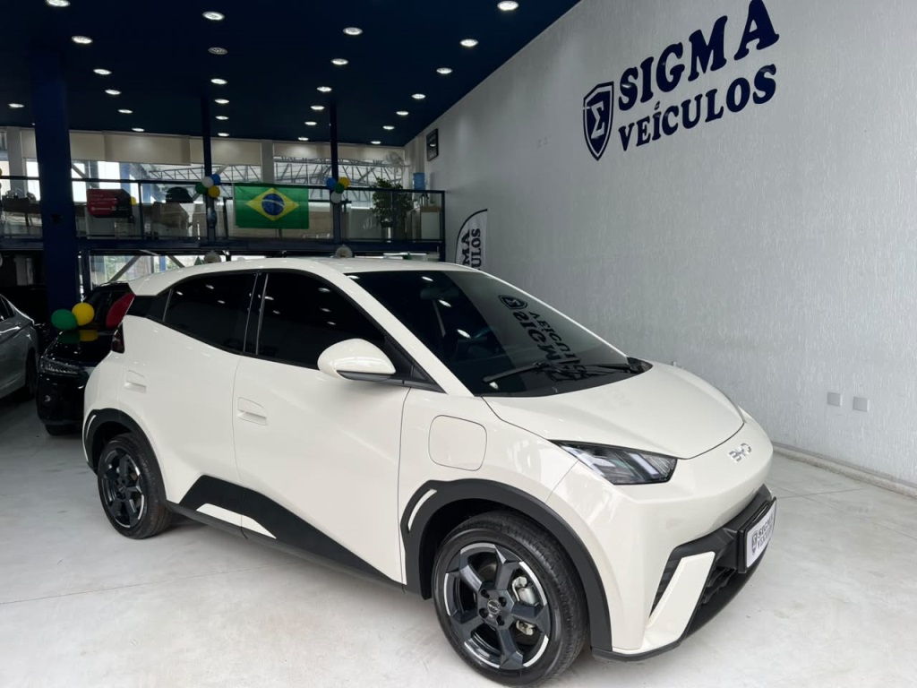BYD DOLPHIN