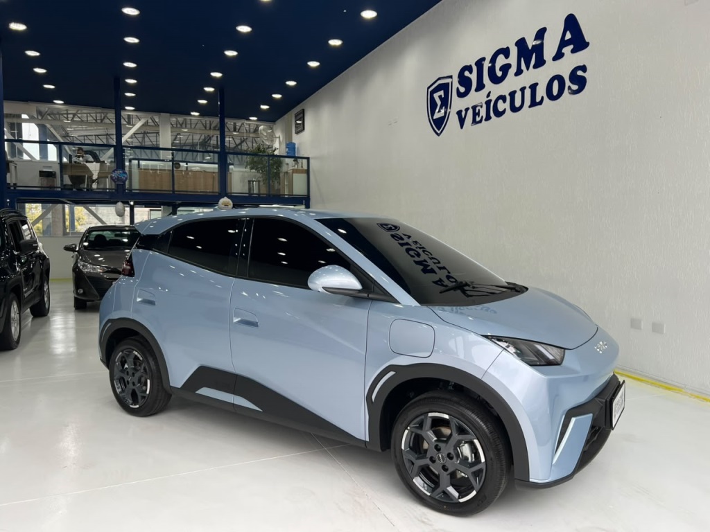 BYD DOLPHIN MINI