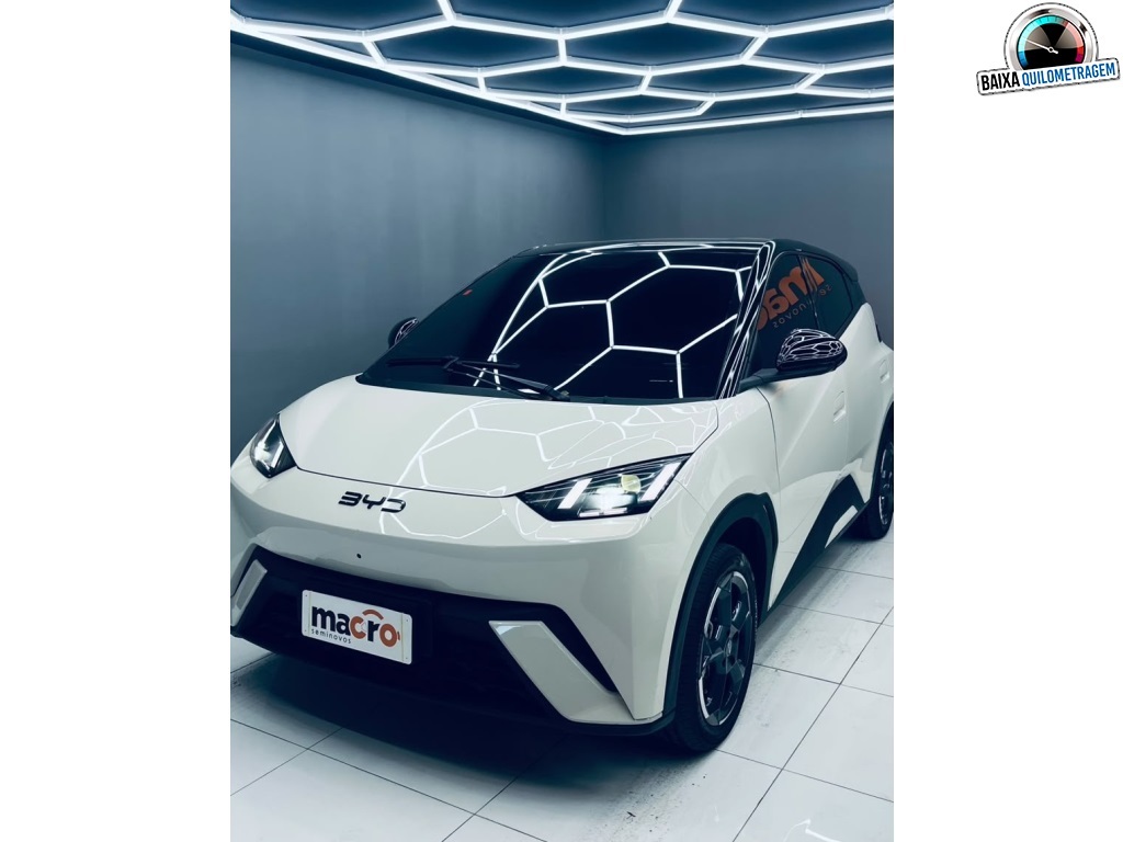 BYD DOLPHIN MINI