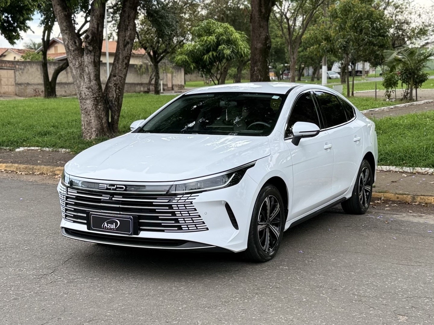 BYD KING