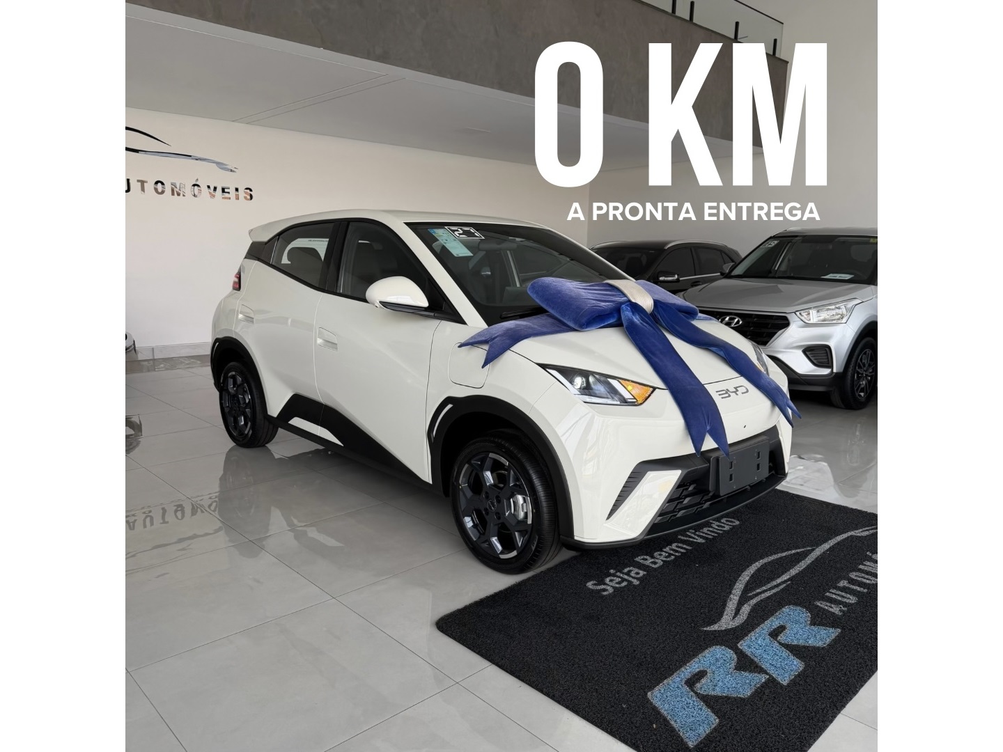 BYD DOLPHIN MINI