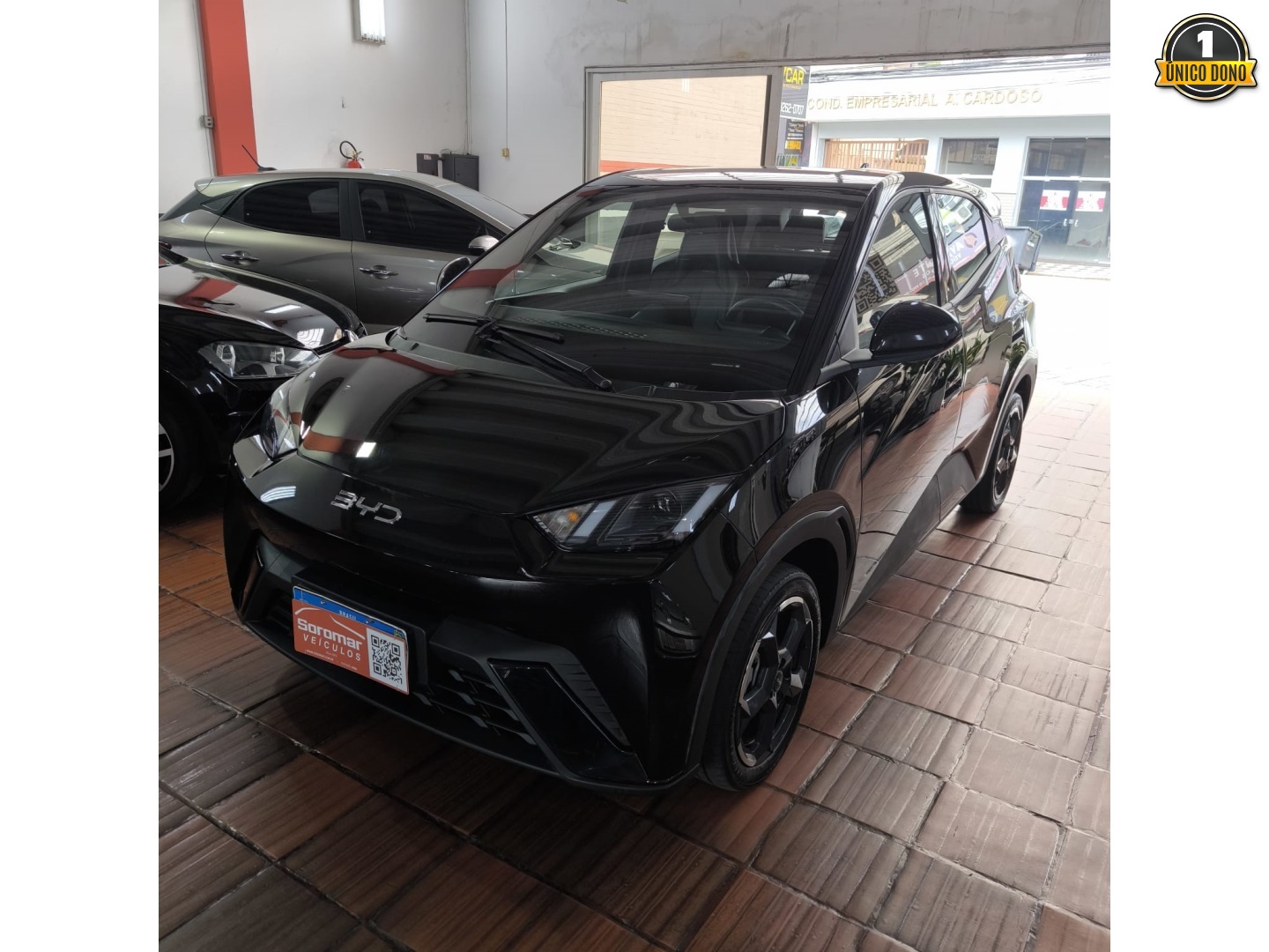 BYD DOLPHIN MINI