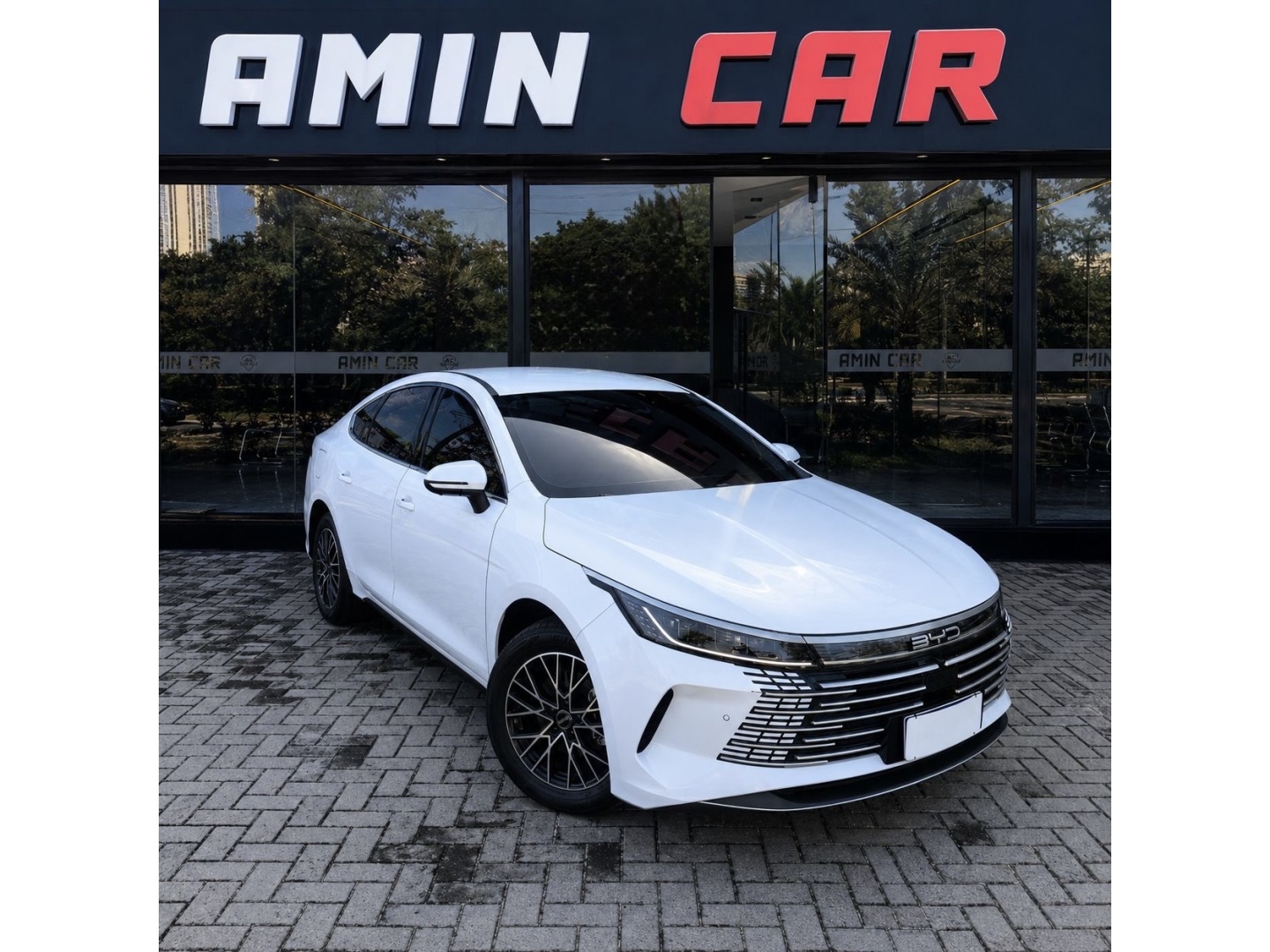 BYD KING