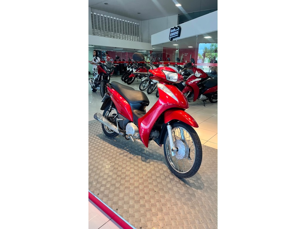 BIZ 1251