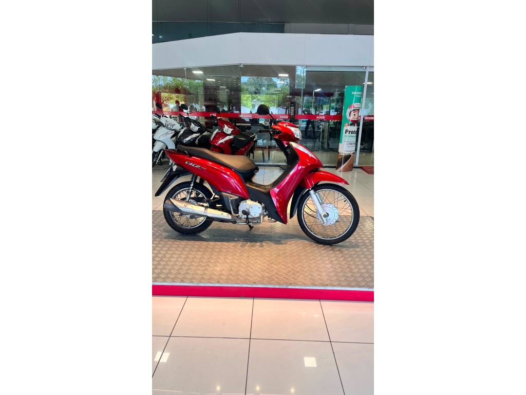 BIZ 1250