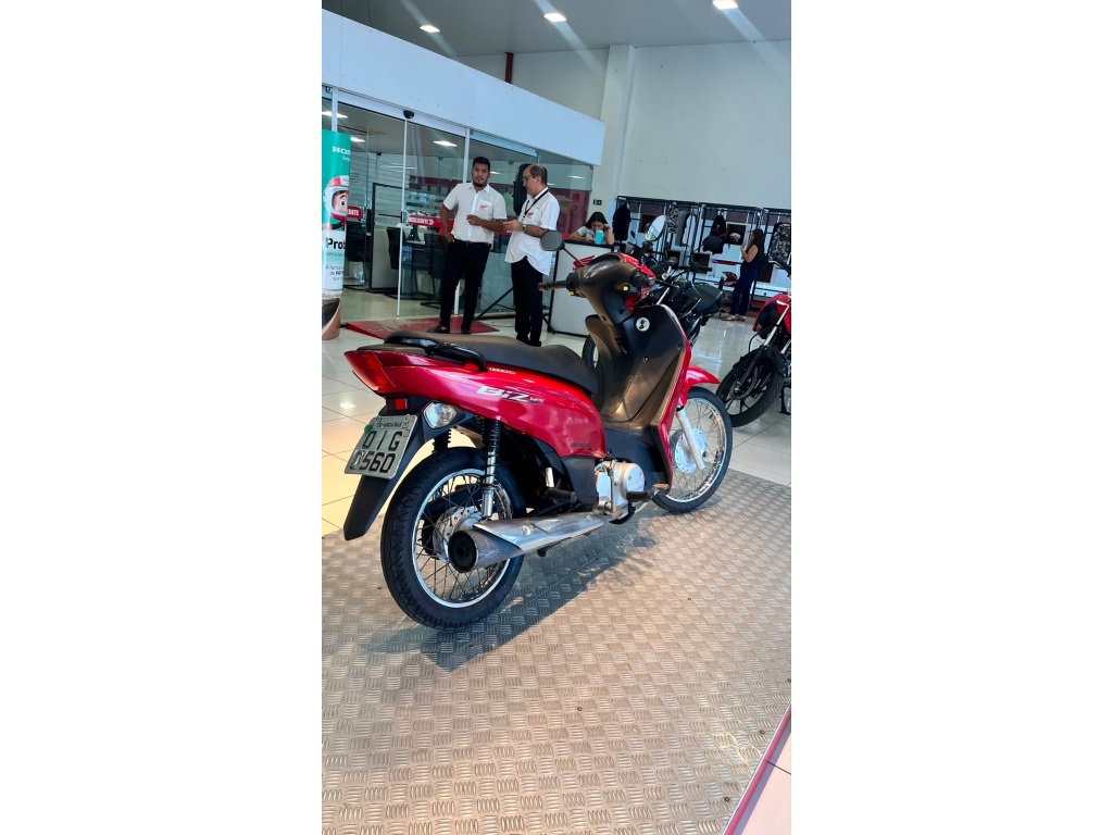 BIZ 1252