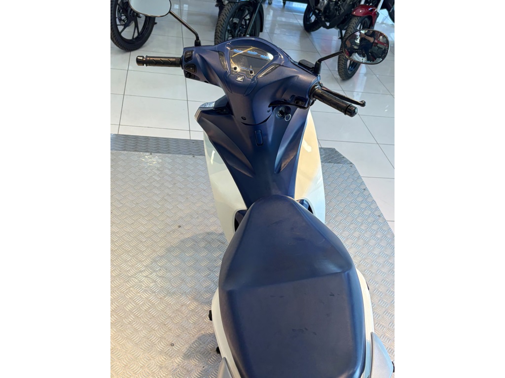 BIZ 1253