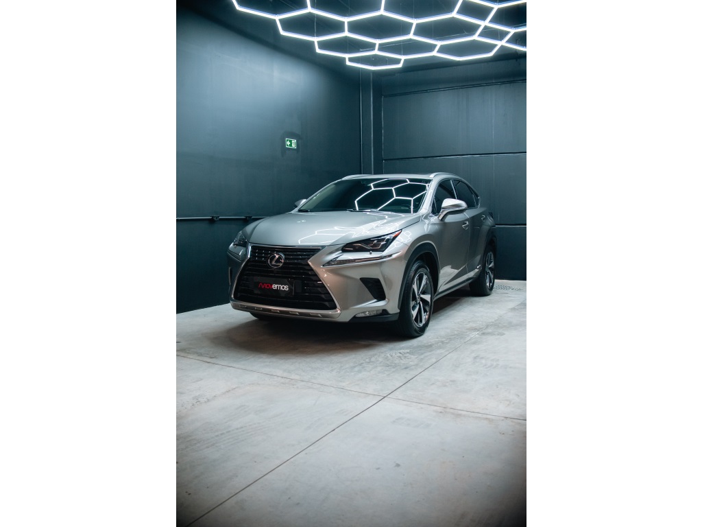LEXUS NX 300h