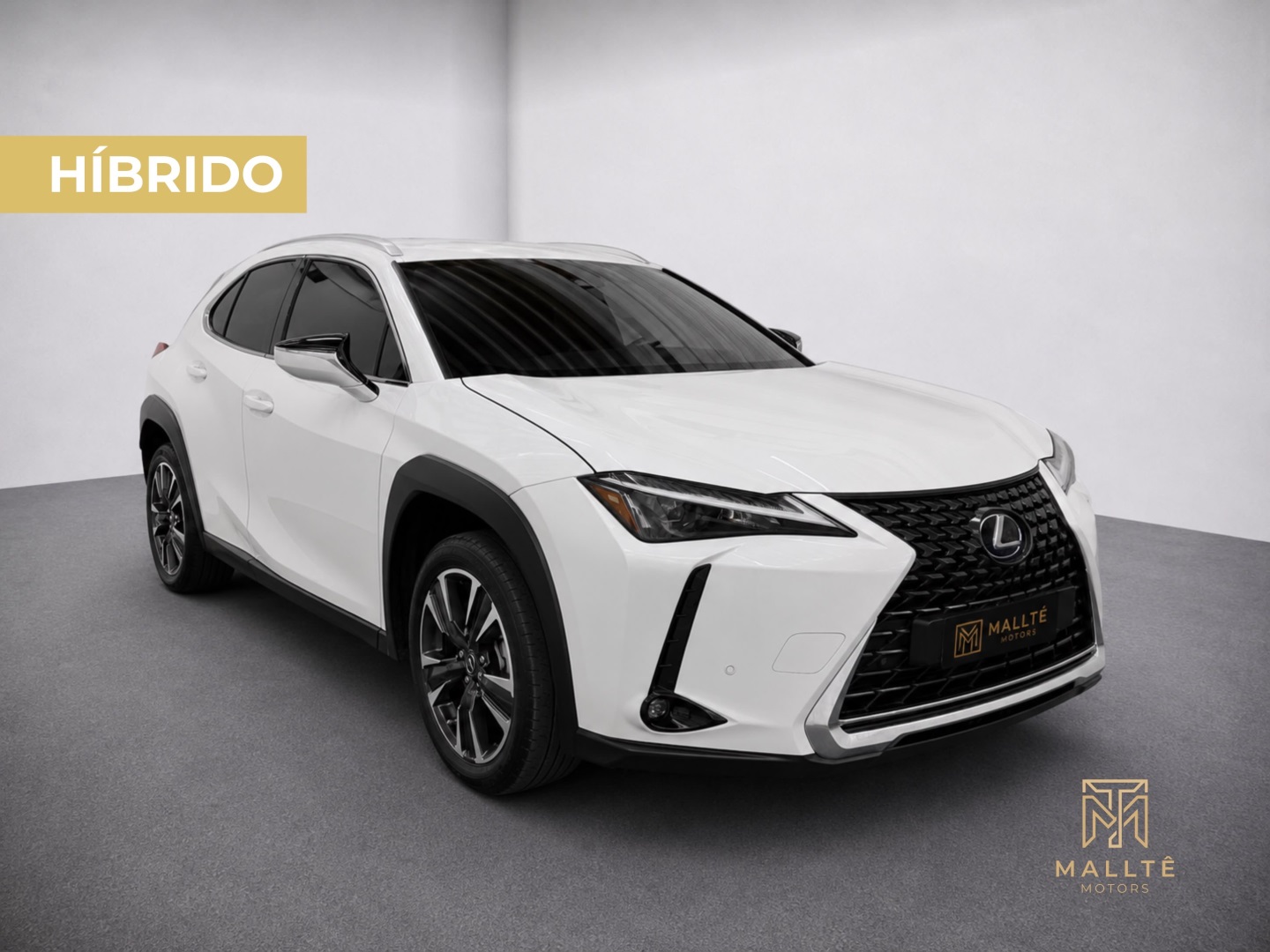 LEXUS UX 250h