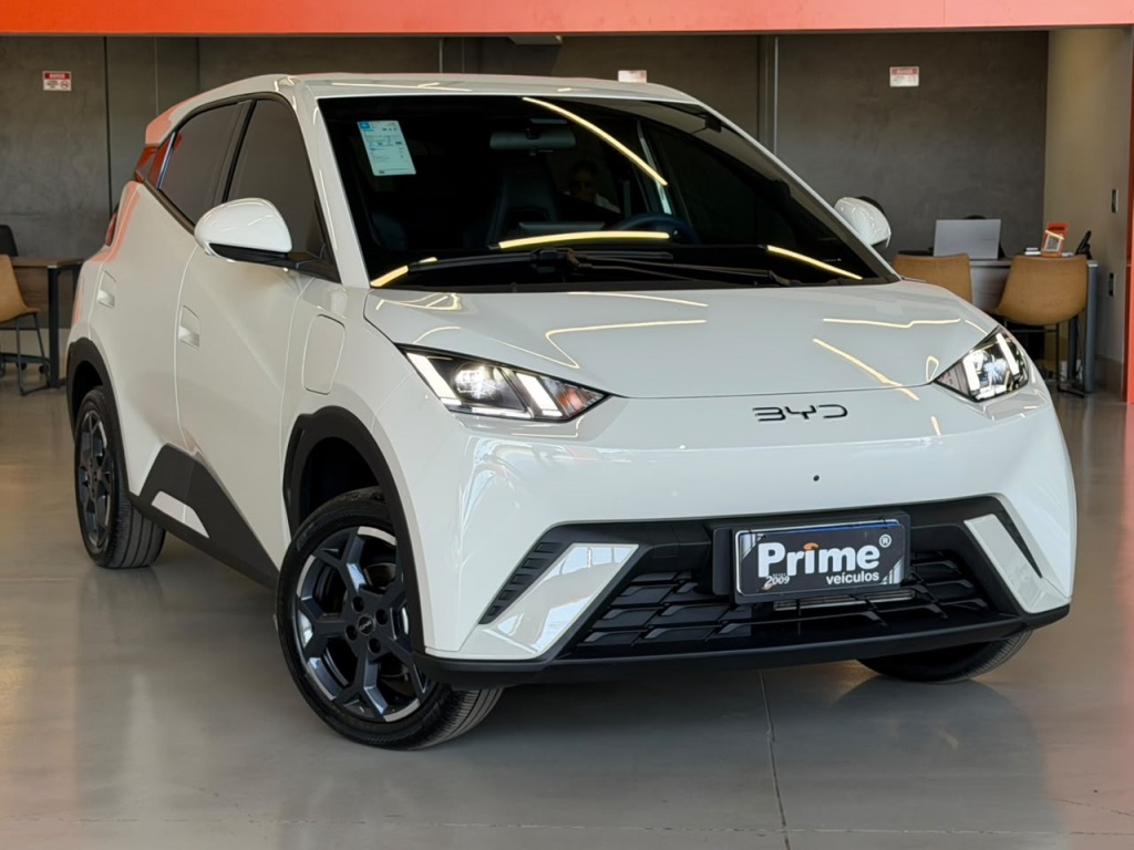 BYD DOLPHIN MINI