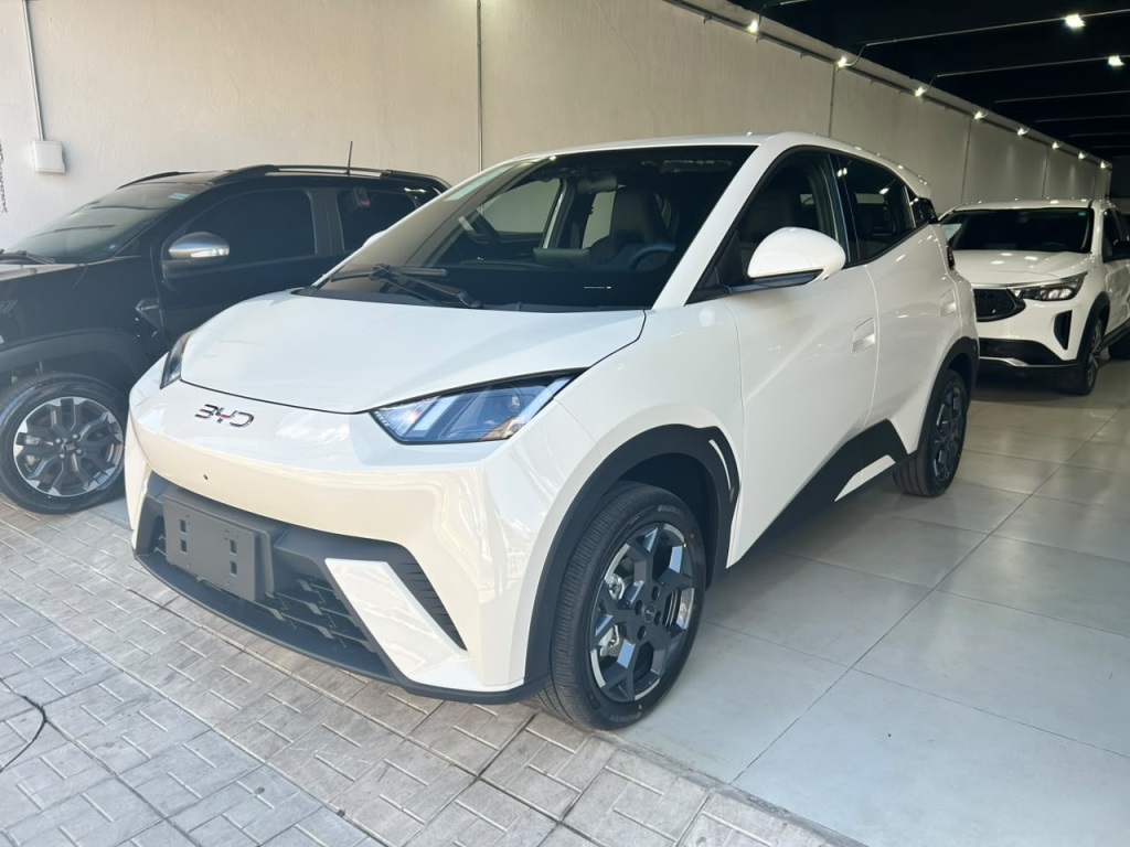 BYD DOLPHIN MINI