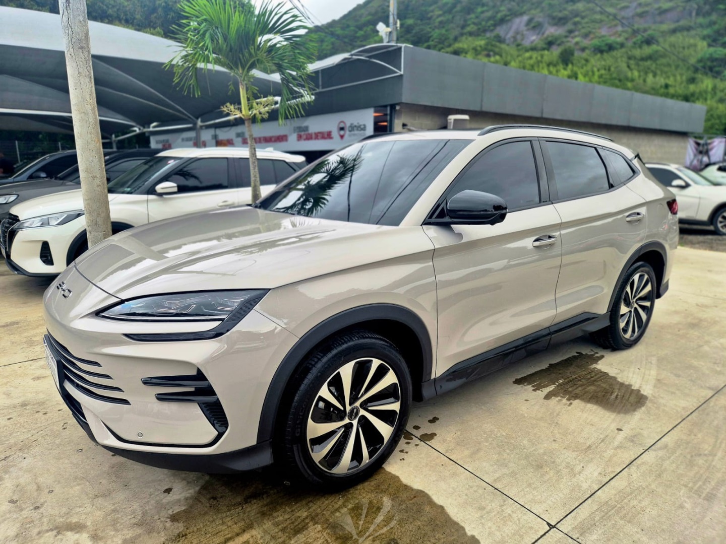 SONG PLUS 1.5 DM-I TURBO HÍBRIDO AUTOMÁTICO2